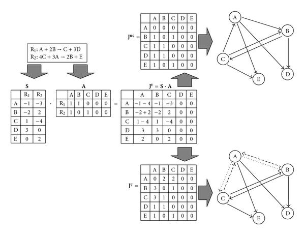 Stability from structure: metabolic networks are unlike other biological networks.