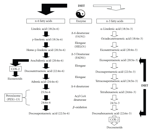 Membrane omega-3 Fatty Acid deficiency as a preventable risk factor for comorbid coronary heart disease in major depressive disorder.