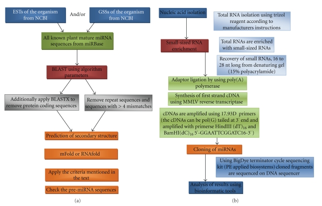 Review of current methodological approaches for characterizing microRNAs in plants.