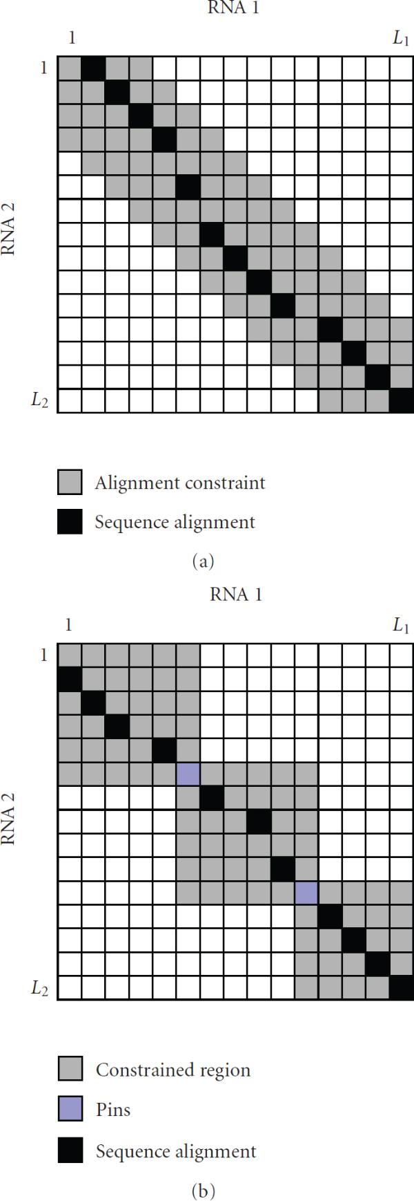 Efficient alignment of RNAs with pseudoknots using sequence alignment constraints.