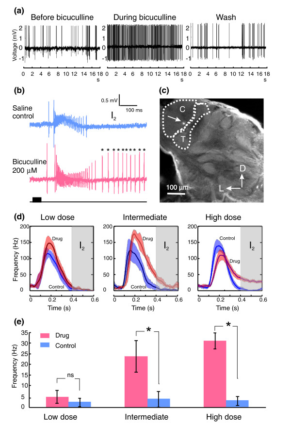 Contrast enhancement of stimulus intermittency in a primary olfactory network and its behavioral significance.