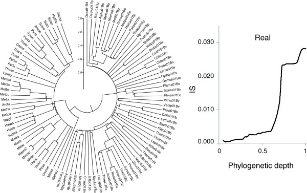 Search for a 'Tree of Life' in the thicket of the phylogenetic forest.