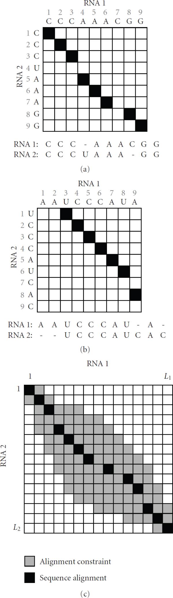 Efficient alignment of RNAs with pseudoknots using sequence alignment constraints.