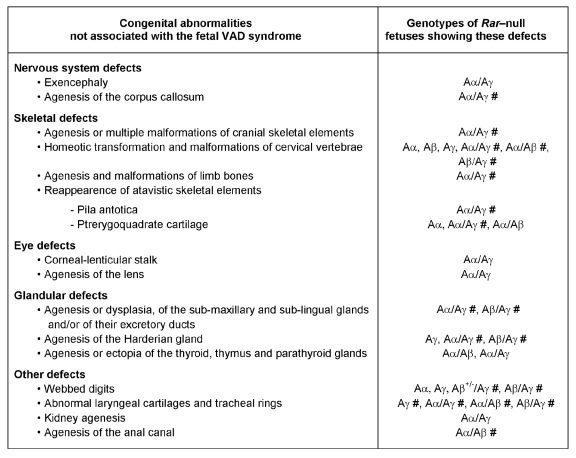 Function of retinoic acid receptors during embryonic development.