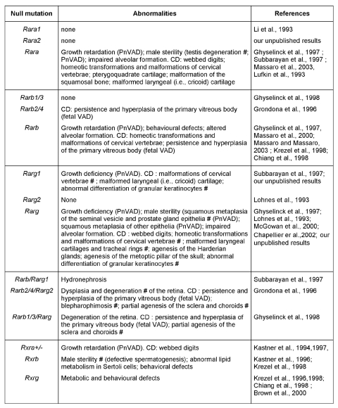 Function of retinoic acid receptors during embryonic development.