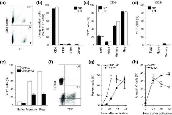 Generalized immune activation as a direct result of activated CD4+ T cell killing.