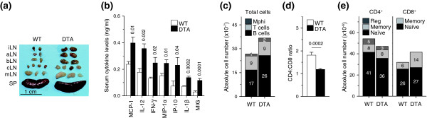 Generalized immune activation as a direct result of activated CD4+ T cell killing.