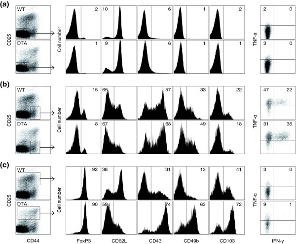 Generalized immune activation as a direct result of activated CD4+ T cell killing.