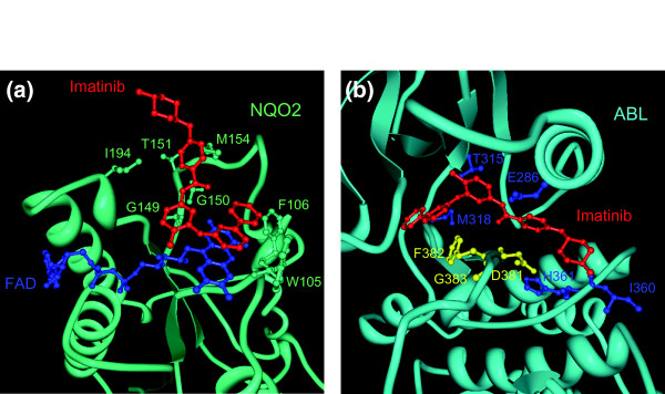 Exploiting the promiscuity of imatinib.