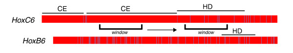 Conserved elements within open reading frames of mammalian Hox genes.