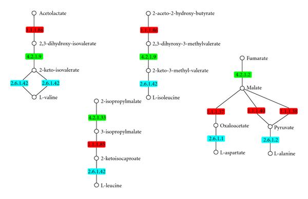 Assessing the exceptionality of coloured motifs in networks.