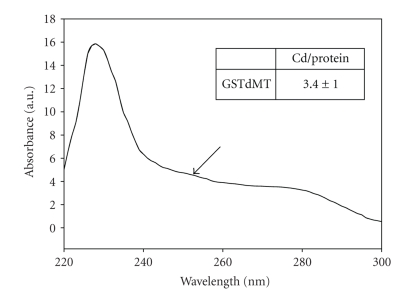 Heterelogous expression of plant genes.