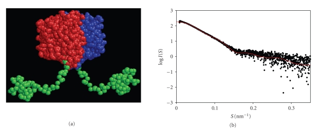 Heterelogous expression of plant genes.