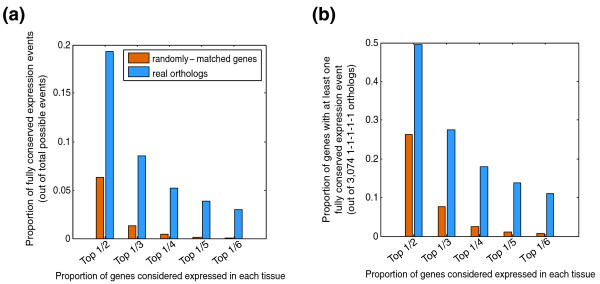 Conservation of core gene expression in vertebrate tissues.