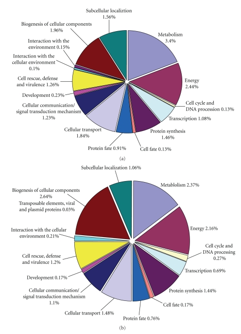 Analysis of Gene Expression Profiles in Leaf Tissues of Cultivated Peanuts and Development of EST-SSR Markers and Gene Discovery.