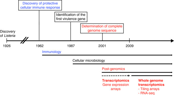 The bacterial pathogen Listeria monocytogenes: an emerging model in prokaryotic transcriptomics.