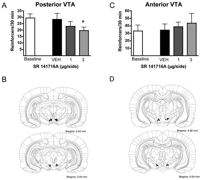 Regional Influence of Cannabinoid CB<sub>1</sub> Receptors in the Regulation of Ethanol Self-Administration by Wistar Rats.