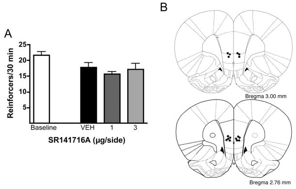 Regional Influence of Cannabinoid CB<sub>1</sub> Receptors in the Regulation of Ethanol Self-Administration by Wistar Rats.