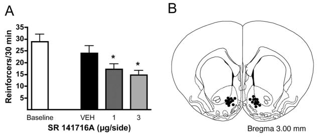 Regional Influence of Cannabinoid CB<sub>1</sub> Receptors in the Regulation of Ethanol Self-Administration by Wistar Rats.