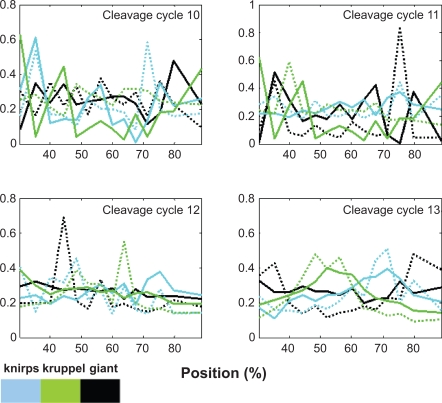 Stochastic spatio-temporal dynamic model for gene/protein interaction network in early Drosophila development.