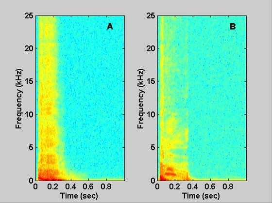 Classification of voluntary cough sound and airflow patterns for detecting abnormal pulmonary function.