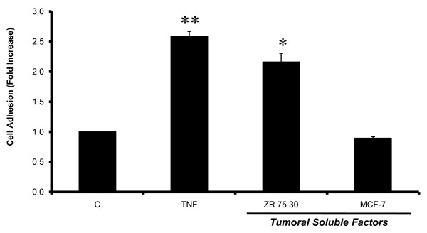 Glycosylated VCAM-1 isoforms revealed in 2D western blots of HUVECs treated with tumoral soluble factors of breast cancer cells.