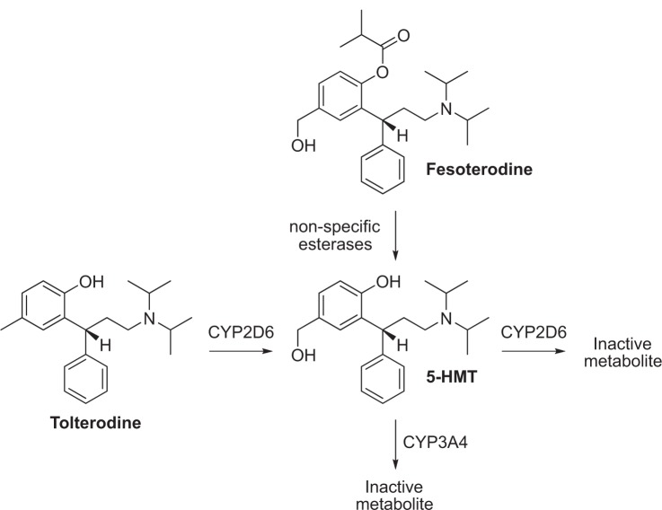 Role of fesoterodine in the treatment of overactive bladder.