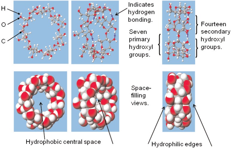 Synthesis of Polymerizable Cyclodextrin Derivatives for Use in Adhesion-Promoting Monomer Formulations.