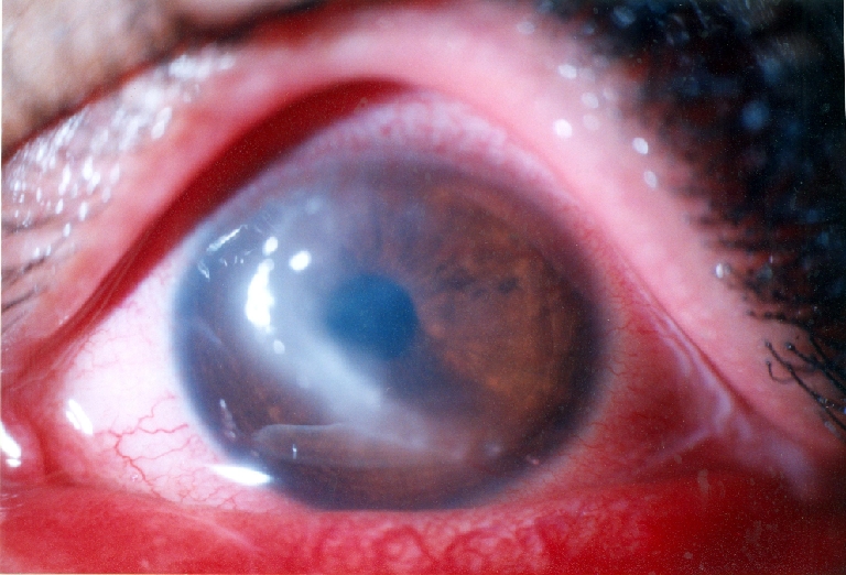 Abstract Image