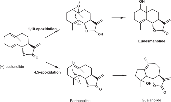 Perspectives on using physcomitrella patens as an alternative production platform for thapsigargin and other terpenoid drug candidates.