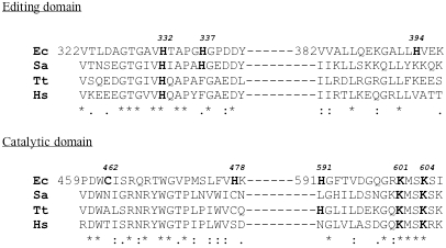 Primary Structure Revision and Active Site Mapping of E. Coli Isoleucyl-tRNA Synthetase by Means of Maldi Mass Spectrometry.