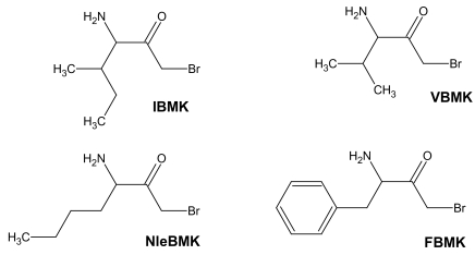 Primary Structure Revision and Active Site Mapping of E. Coli Isoleucyl-tRNA Synthetase by Means of Maldi Mass Spectrometry.