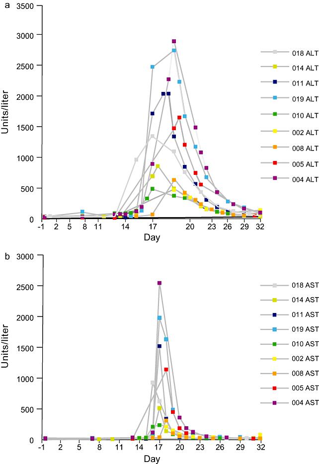 Unexpected Hepatotoxicity of Rifampin and Saquinavir/Ritonavir in Healthy Male Volunteers