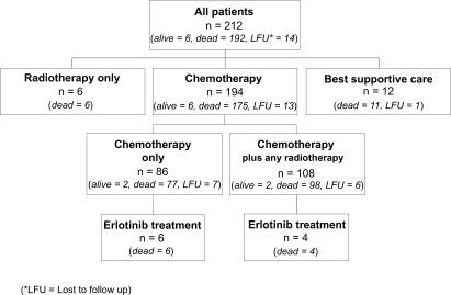 Treatment of advanced non small cell lung cancer in routine care: a retrospective analysis of 212 consecutive patients treated in a community based oncology group practice.