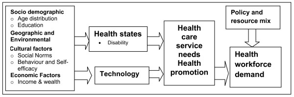 Issues facing the future health care workforce: the importance of demand modelling.