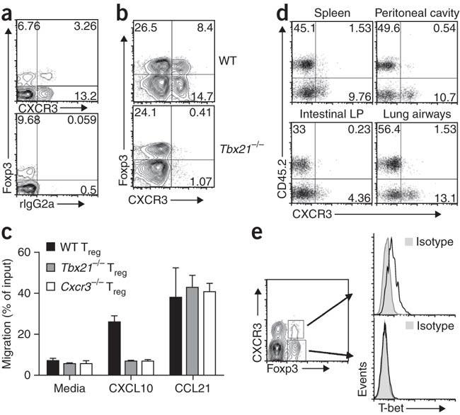 The transcription factor T-bet controls regulatory T cell homeostasis and function during type 1 inflammation