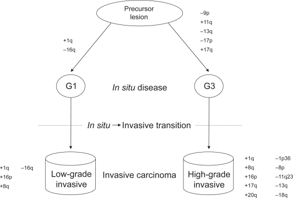 Genomic heterogeneity of breast tumor pathogenesis.