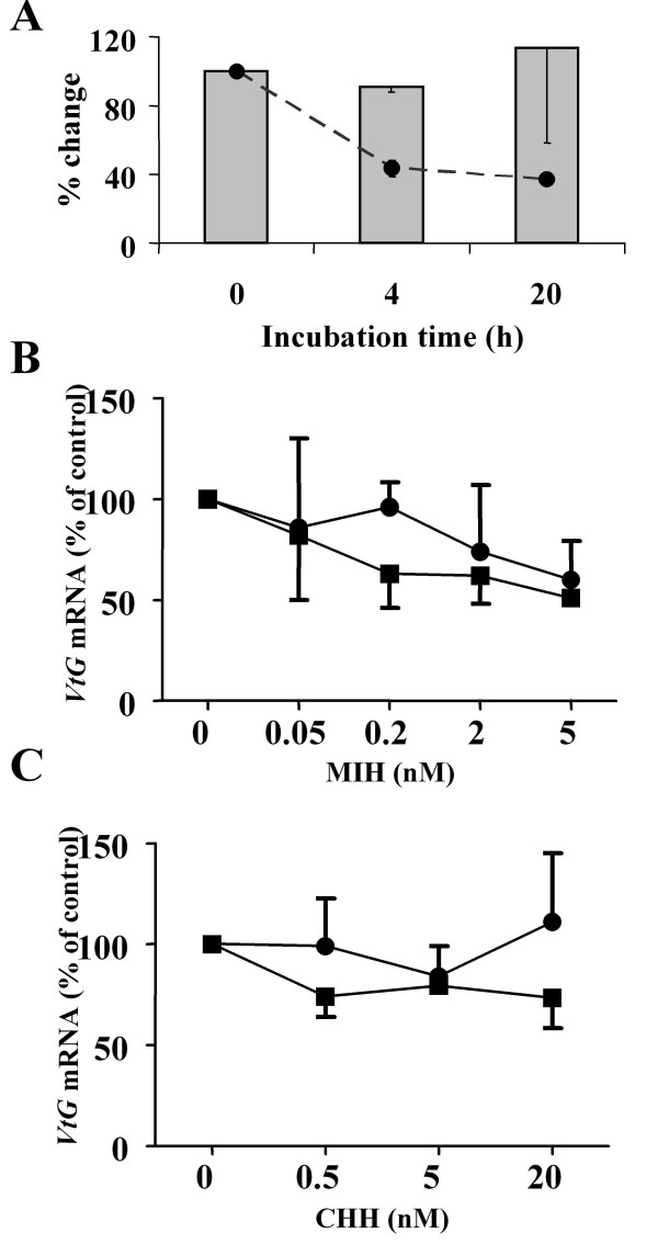 Molt-inhibiting hormone stimulates vitellogenesis at advanced ovarian developmental stages in the female blue crab, Callinectes sapidus 1: an ovarian stage dependent involvement.