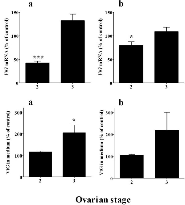 Molt-inhibiting hormone stimulates vitellogenesis at advanced ovarian developmental stages in the female blue crab, Callinectes sapidus 1: an ovarian stage dependent involvement.