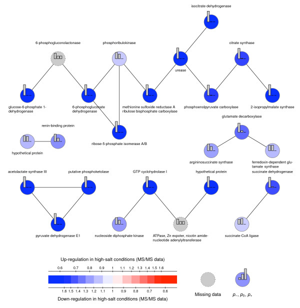 A systems biology approach to investigate the response of Synechocystis sp. PCC6803 to a high salt environment.