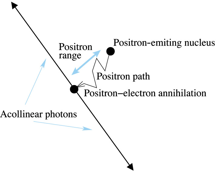 Quantitative imaging of coronary blood flow.