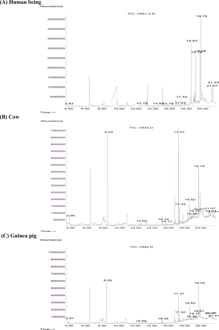 Differential Responses of Anopheles stephensi (Diptera: Culicidae) to Skin Emanations of a Man, a Cow, and a Guinea Pig in the Olfactometer.