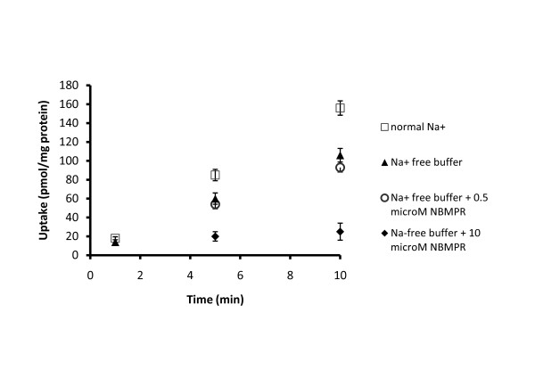 Expression and functional activity of nucleoside transporters in human choroid plexus.