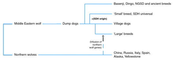 Top dogs: wolf domestication and wealth.