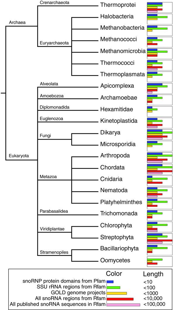 SnoPatrol: how many snoRNA genes are there?