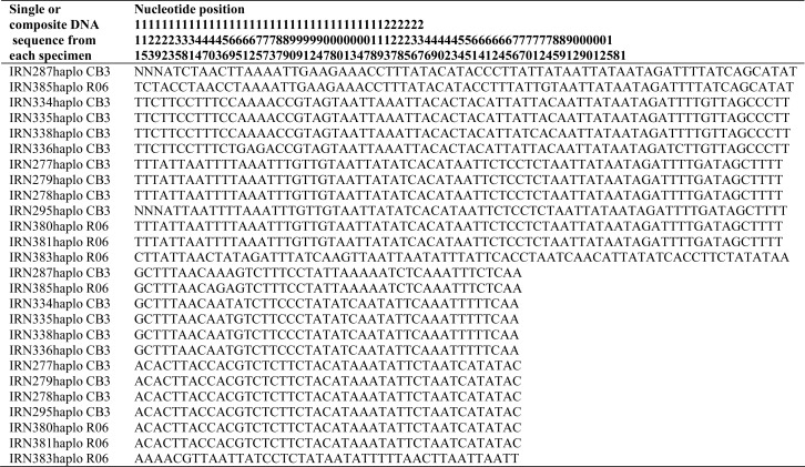 Molecular typing and phylogenetic analysis of some species belonging to phlebotomus (larroussius) and phlebotomus (adlerius) subgenera (Diptera: psychodidae) from two locations in iran.