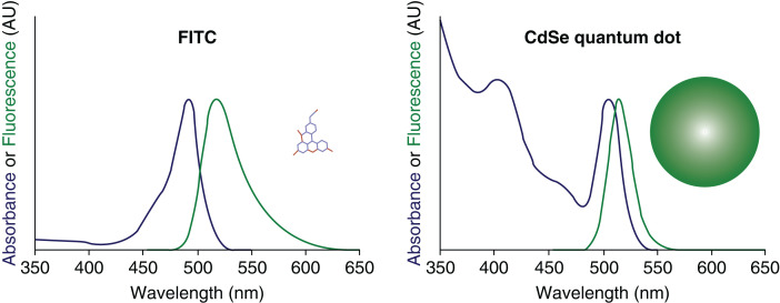 Nanotechnology and molecular cytogenetics: the future has not yet arrived.