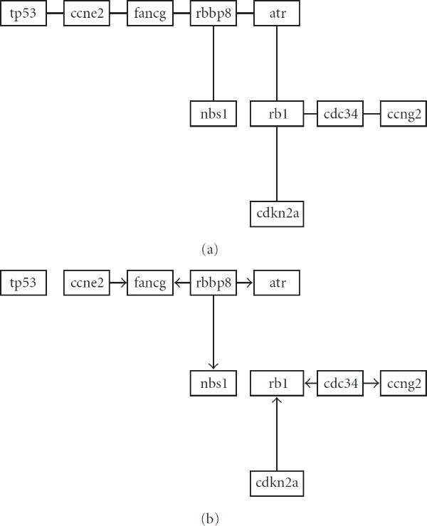 A hypothesis test for equality of bayesian network models.