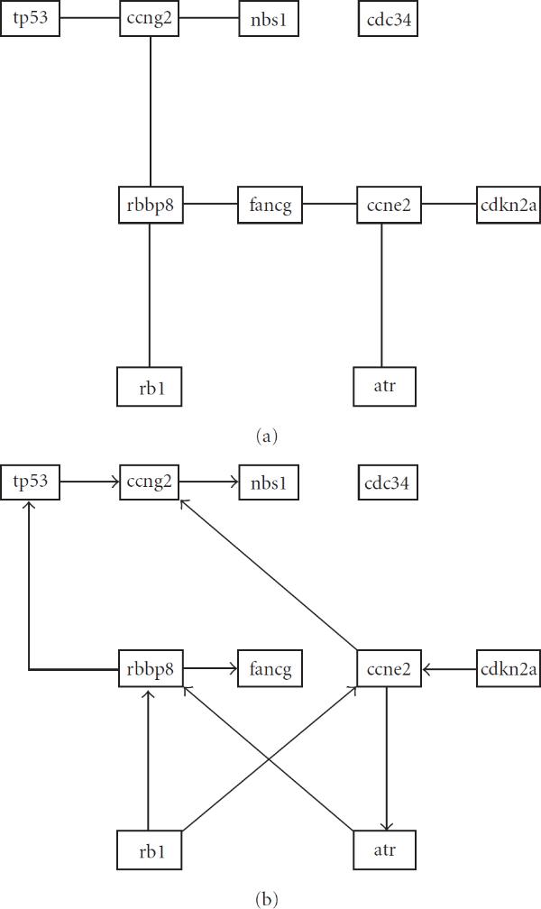 A hypothesis test for equality of bayesian network models.