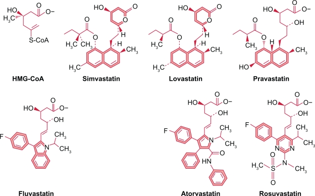 Pitavastatin: evidence for its place in treatment of hypercholesterolemia.